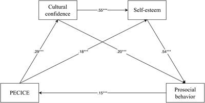 The influence of physical education courses integrated with civic education on prosocial behavior among college students: the chain mediating effect of cultural confidence and self-esteem